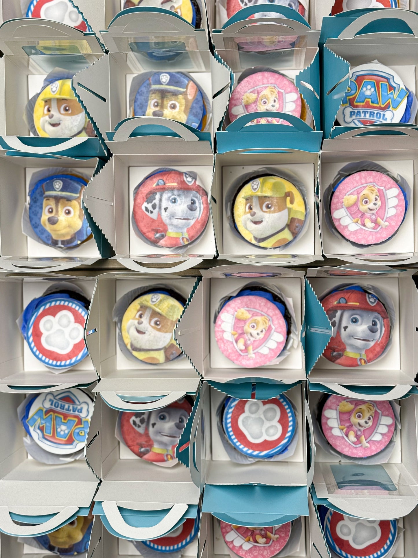 Cupcakes In A Box Set