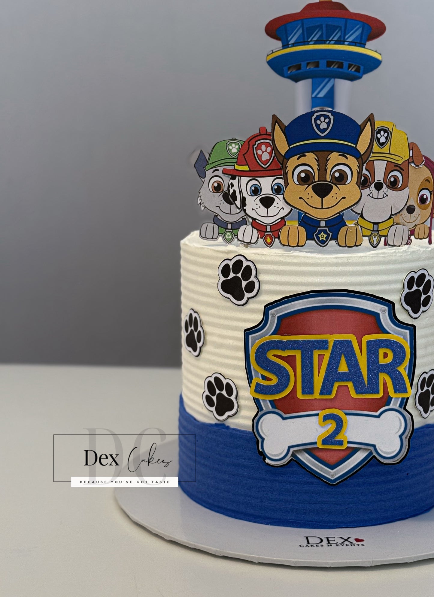 Paw Patrol Adventure-18CM